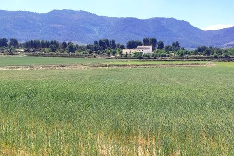 Helårsgrund i Agres, Alicante, Agres - € 65.000 | Ref: 8180 - foto 4