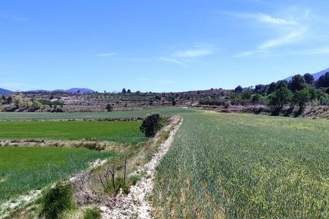Helårsgrund i Agres, Alicante, Agres - € 65.000 | Ref: 8180 - foto 11
