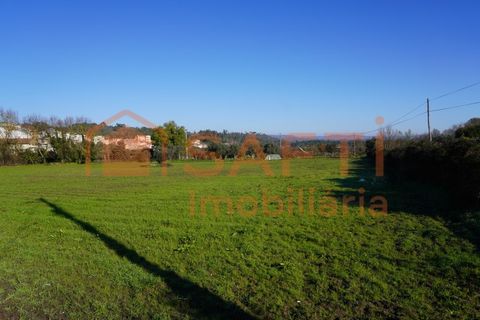 Farm i Arcozelo, Guarda, Arcozelo - € 150.000 | Ref: SAFTI:002977 - foto 8