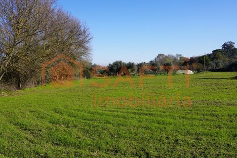 Farm i Arcozelo, Guarda, Arcozelo - € 150.000 | Ref: SAFTI:002977 - foto 7