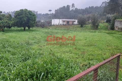 Helårsgrund i Viseu, Viseu, Viseu - € 60.000 | Ref: 189232055 - foto 3