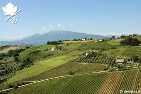 Villa a Offida, Ascoli Piceno, Offida - € 300.000 | Ref: 6527 - foto 8