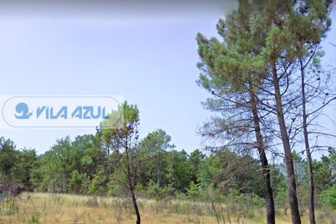 Helårsgrund i Baiao, Porto, Baiao - € 50.000 | Ref: 12607051 - foto 3