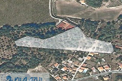 Helårsgrund i Baiao, Porto, Baiao - € 50.000 | Ref: 12607051 - foto 1