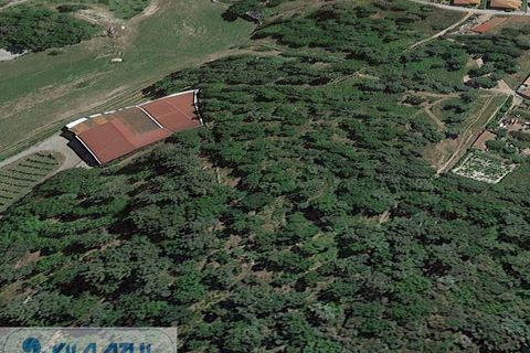 Helårsgrund i Baiao, Porto, Baiao - € 50.000 | Ref: 12607051 - foto 5