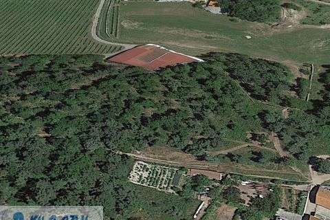 Helårsgrund i Baiao, Porto, Baiao - € 50.000 | Ref: 12607051 - foto 6
