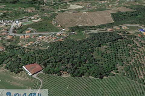 Helårsgrund i Baiao, Porto, Baiao - € 50.000 | Ref: 12607051 - foto 7