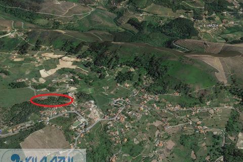 Helårsgrund i Baiao, Porto, Baiao - € 50.000 | Ref: 12607051 - foto 8