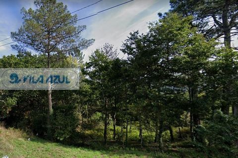 Helårsgrund i Baiao, Porto, Baiao - € 40.000 | Ref: 12607050 - foto 3