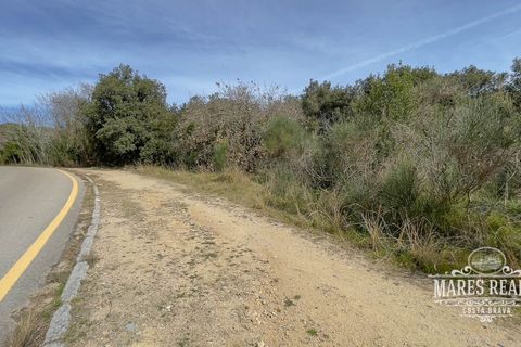 Helårsgrund i Lloret De Mar, Gerona, Lloret De Mar - € 2.280.000 | Ref: 420T - foto 1