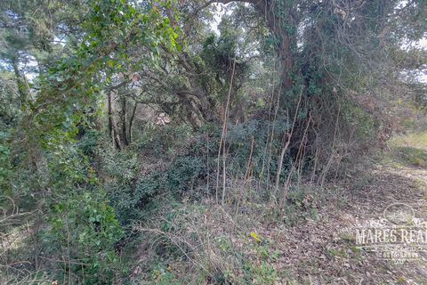 Helårsgrund i Lloret De Mar, Gerona, Lloret De Mar - € 2.280.000 | Ref: 420T - foto 4