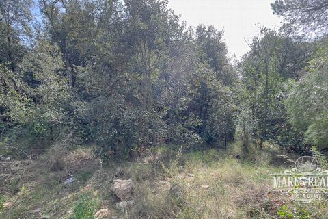 Helårsgrund i Lloret De Mar, Gerona, Lloret De Mar - € 2.134.500 | Ref: 419T - foto 1