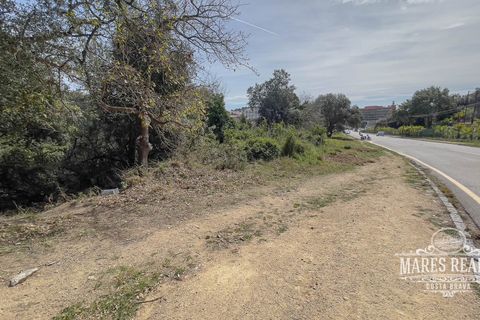 Helårsgrund i Lloret De Mar, Gerona, Lloret De Mar - € 2.134.500 | Ref: 419T - foto 3