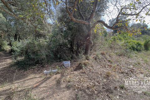 Helårsgrund i Lloret De Mar, Gerona, Lloret De Mar - € 2.134.500 | Ref: 419T - foto 4