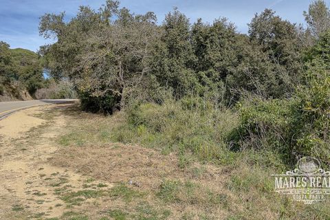 Helårsgrund i Lloret De Mar, Gerona, Lloret De Mar - € 2.134.500 | Ref: 419T - foto 5