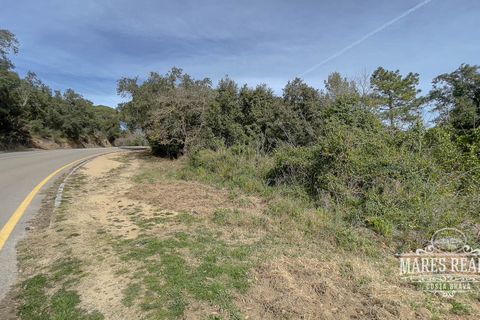 Helårsgrund i Lloret De Mar, Gerona, Lloret De Mar - € 2.134.500 | Ref: 419T - foto 6