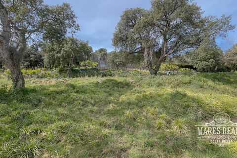 Helårsgrund i Lloret De Mar, Gerona, Lloret De Mar - € 2.235.000 | Ref: 418T - foto 4