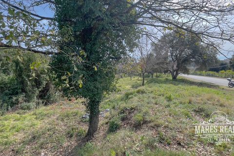 Helårsgrund i Lloret De Mar, Gerona, Lloret De Mar - € 2.235.000 | Ref: 418T - foto 7