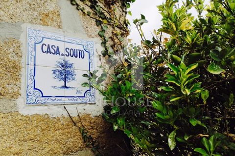 Farm i Roriz, Porto, Roriz - € 469.000 | Ref: M_025/23 - foto 1