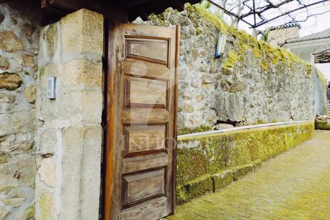 Farm i Roriz, Porto, Roriz - € 469.000 | Ref: M_025/23 - foto 3