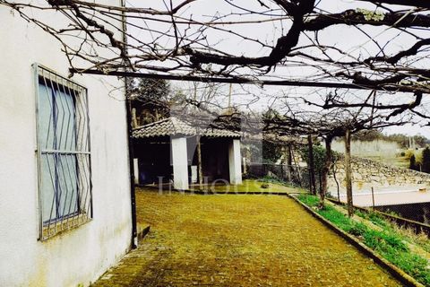 Farm i Roriz, Porto, Roriz - € 469.000 | Ref: M_025/23 - foto 8