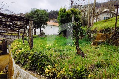 Farm i Roriz, Porto, Roriz - € 469.000 | Ref: M_025/23 - foto 29