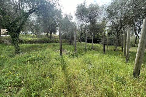 Helårsgrund i Contes, Alpes-Maritimes, Contes - € 180.000 | Ref: 572 - foto 3