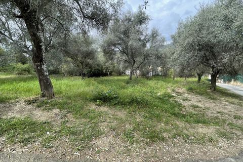 Helårsgrund i Contes, Alpes-Maritimes, Contes - € 180.000 | Ref: 572 - foto 2