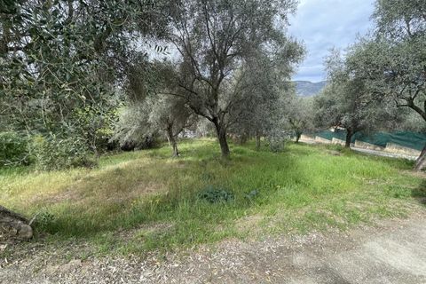Helårsgrund i Contes, Alpes-Maritimes, Contes - € 180.000 | Ref: 572 - foto 4