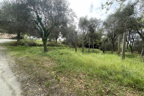 Helårsgrund i Contes, Alpes-Maritimes, Contes - € 180.000 | Ref: 572 - foto 5