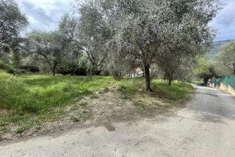 Helårsgrund i Contes, Alpes-Maritimes, Contes - € 180.000 | Ref: 572 - foto 6