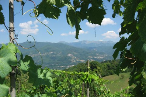 Leilighet i Barga, Lucca, Barga - € 360 000 | Ref: v4708b-x - foto 10
