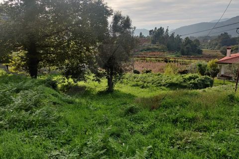 Helårsgrund i Ponte de Lima, Viana do Castelo, Ponte de Lima - € 100.000 | Ref: MDS3815 - foto 1