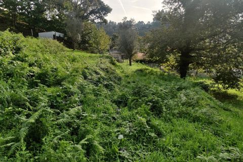 Helårsgrund i Ponte de Lima, Viana do Castelo, Ponte de Lima - € 100.000 | Ref: MDS3815 - foto 3