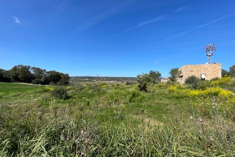 Helårsgrund i Manacor, Mallorca, Manacor - € 200.000 | Ref: 72041 - foto 1