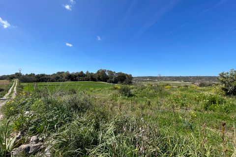 Helårsgrund i Manacor, Mallorca, Manacor - € 200.000 | Ref: 72041 - foto 2