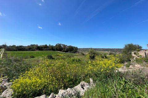 Helårsgrund i Manacor, Mallorca, Manacor - € 200.000 | Ref: 72041 - foto 4