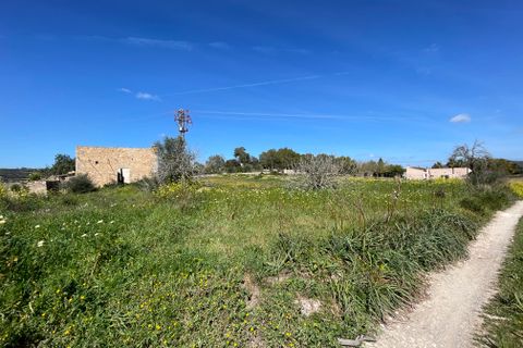 Helårsgrund i Manacor, Mallorca, Manacor - € 200.000 | Ref: 72041 - foto 5