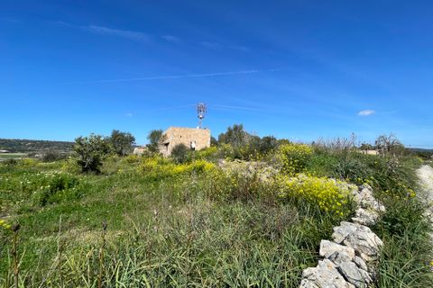 Helårsgrund i Manacor, Mallorca, Manacor - € 200.000 | Ref: 72041 - foto 6
