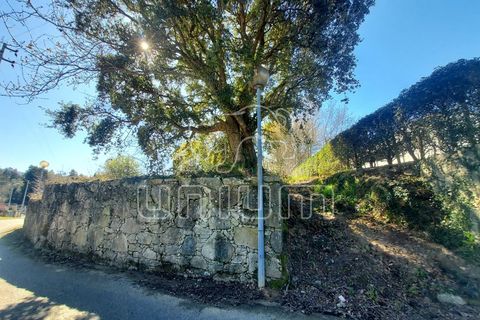 Helårsgrund i Venade e Azevedo, Viana do Castelo, Venade e Azevedo - € 100.000 | Ref: R4474 - foto 1
