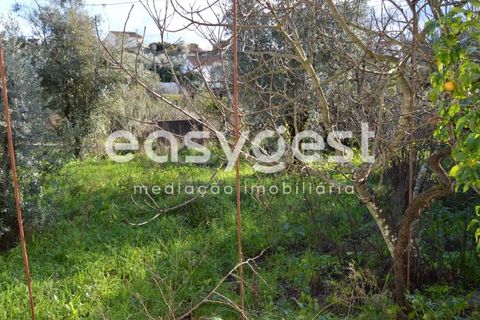 Villa a Sardoal, Santarem, Sardoal - € 49.500 | Ref: TM91841 - foto 7