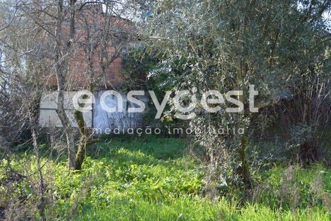 Villa a Sardoal, Santarem, Sardoal - € 49.500 | Ref: TM91841 - foto 9