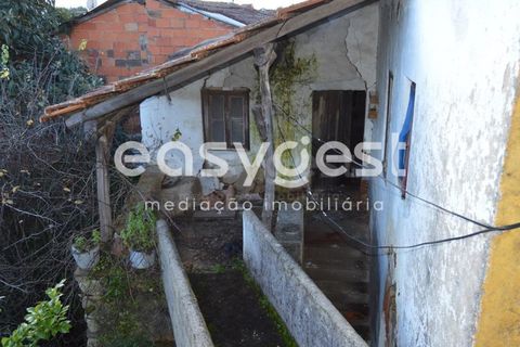 Villa a Sardoal, Santarem, Sardoal - € 49.500 | Ref: TM91841 - foto 15