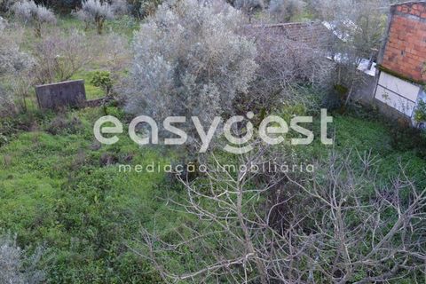 Villa a Sardoal, Santarem, Sardoal - € 49.500 | Ref: TM91841 - foto 17