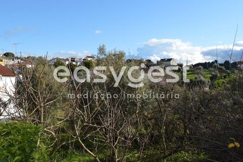 Villa a Sardoal, Santarem, Sardoal - € 49.500 | Ref: TM91841 - foto 21