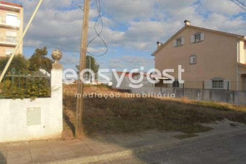 Helårsgrund i Entroncamento, Santarem, Entroncamento - € 65.000 | Ref: TM91848 - foto 4