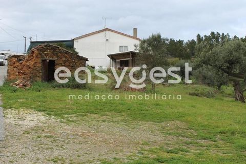 Helårsgrund i Macao, Santarem, Macao - € 65.000 | Ref: TM91820 - foto 2