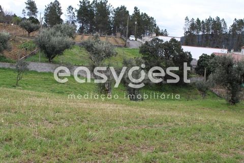 Helårsgrund i Macao, Santarem, Macao - € 65.000 | Ref: TM91820 - foto 5