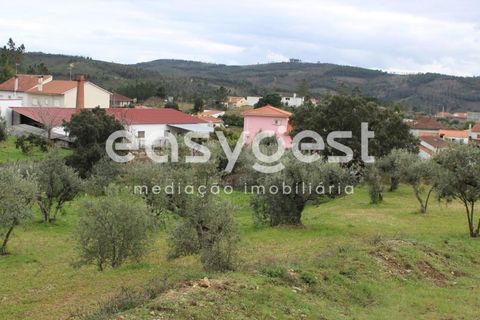 Helårsgrund i Macao, Santarem, Macao - € 65.000 | Ref: TM91820 - foto 6