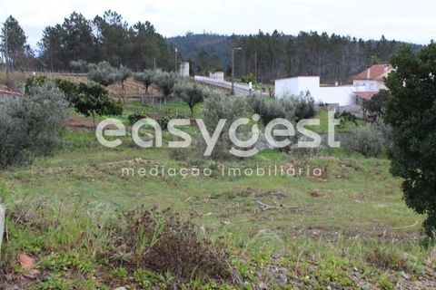 Helårsgrund i Macao, Santarem, Macao - € 65.000 | Ref: TM91820 - foto 7